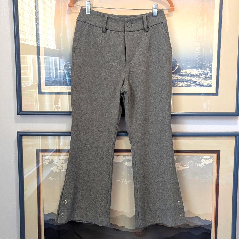 Asvicollection Gray Capri Pants Size Medium